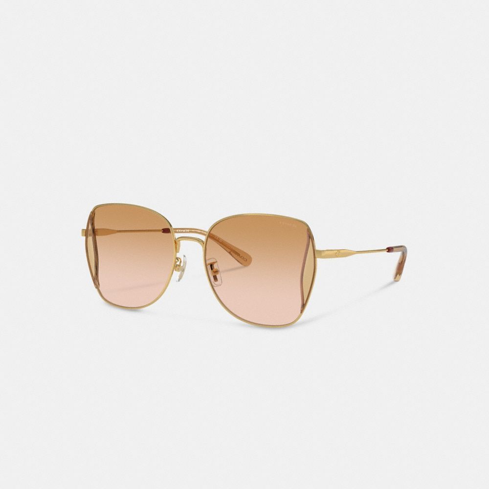 Óculos Coach Oversized Butterfly Sunglasses Feminino Coral Rosa Multicoloridas | OPBSKDG-30