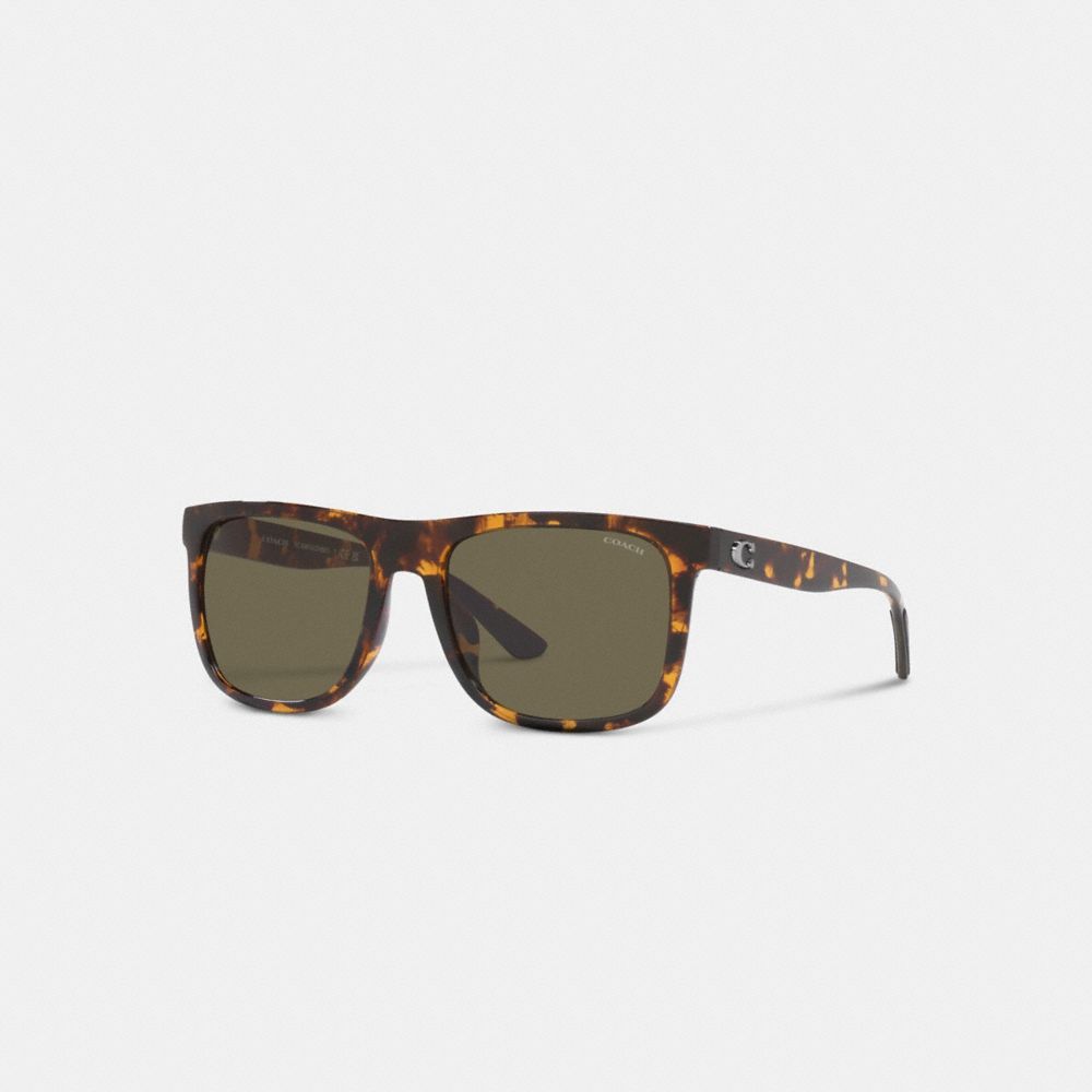 Óculos de Sol Coach Beveled Signature Flat Top Square Sunglasses Masculino Multicoloridas | BWUHSCO-05