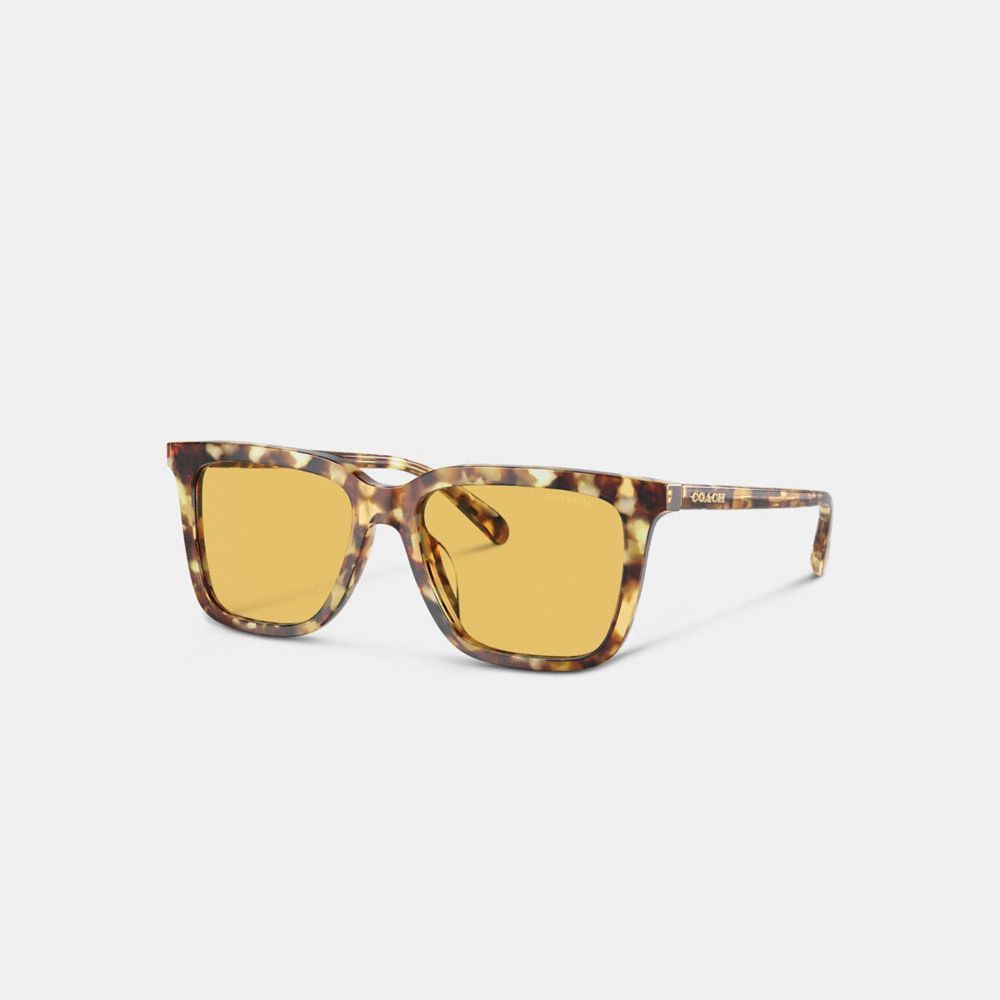 Óculos de Sol Coach Signature Square Sunglasses Masculino Laranja | RPZVDAS-07